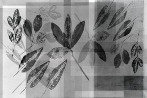 Monochrome botanische lagen door cartissi