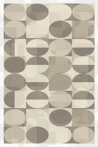Neutrale geometrische cirkels door cartissi