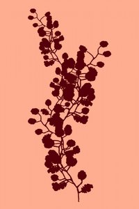 Botanisch silhouet van een perzik door cartissi