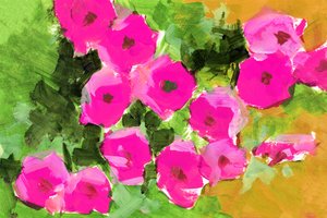 Roze bloemen in de tuin