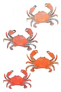 Zeevruchten Krabben Aquarel