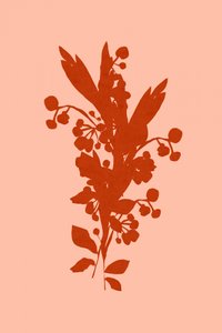 Terracotta bloemensilhouet door cartissi