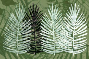 Tropisch groen gebladerte
