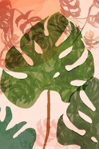 Tropische Monstera-bladeren door cartissi