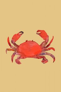 Levendig rode krab