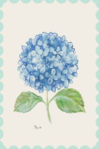 Vintage blauwe hortensiabloem