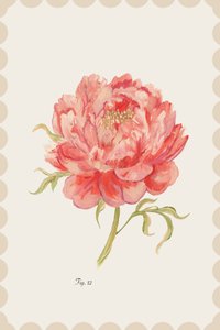 Vintage roze pioenroos door cartissi