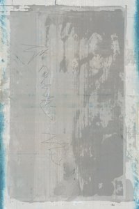 Verweerd blauwgrijs door cartissi