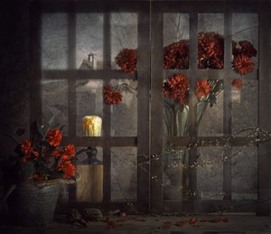 Bloemen in een donker raam