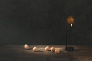 De gouden lamp en de eieren