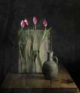  door chenyi wang