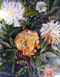 Bloeiende pioenroos, 2017 door jocasta shakespeare
