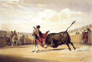 Stier die aanvalt terwijl matador met de cape speelt