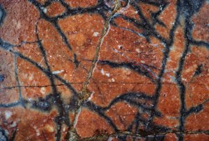 Marmeren vloer, detail, Villa van Hadrianus, 2e eeuw n.Chr., Tivoli, Lazio, Italië door Unbekannt Unbekannt