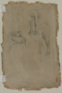 Studies van een Stier (verso)