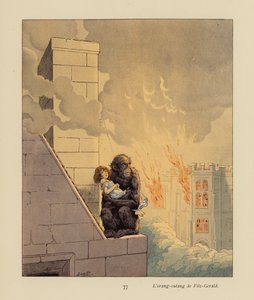 De orang-oetan van Fitzgerald