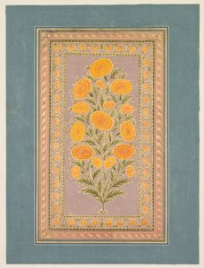 Bloeiende Goudsbloem door style of Hunhar II
