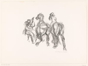 Man en paarden