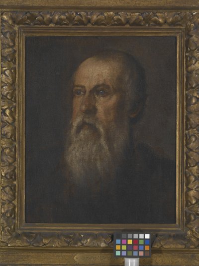 Portret van een bebaarde man door (1528 88) Veronese