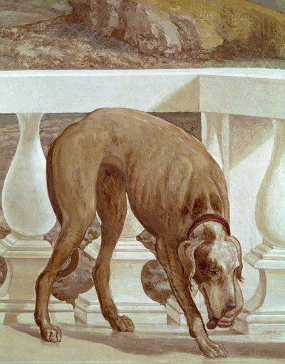 Hond op een balkon (detail) door Veronese