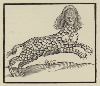 Vierpotig wezen met een lichaam bedekt met schubben (gravure) door (after) English School