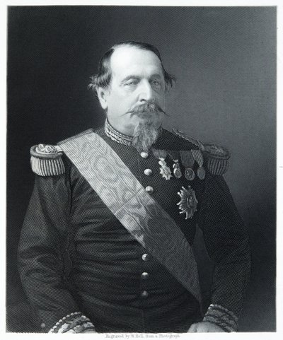 Napoleon III door (after) English photographer