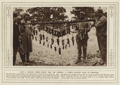 Ratten, een grotere loopgraafzorg dan de Duitsers! Een vangst van een Franse soldaat tentoongesteld door (after) English photographer
