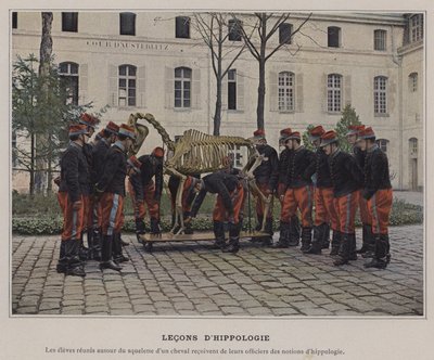 Lessen in hippologie door (after) French Photographer