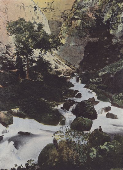 Bron van de Sorgue bij de Fontaine de Vaucluse (gekleurde foto) door (after) French Photographer