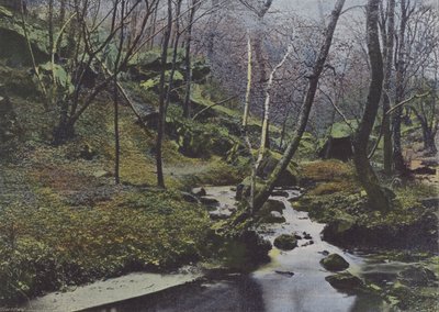 Vaux de Cernay, De Watervallen door (after) French Photographer