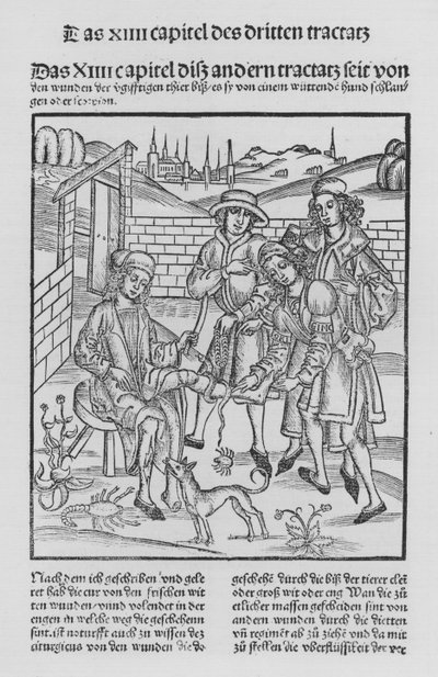 Het Boek van Cirurgia door Hieronymus Brunschwig door (after) German School