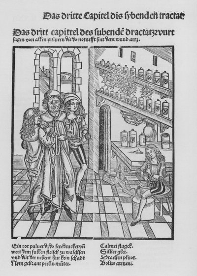 Het boek van Cirurgia door Hieronymus Brunschwig door (after) German School