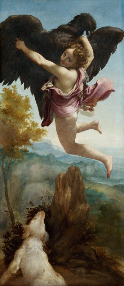 De ontvoering van Ganymedes door (c.1489 1534) Correggio