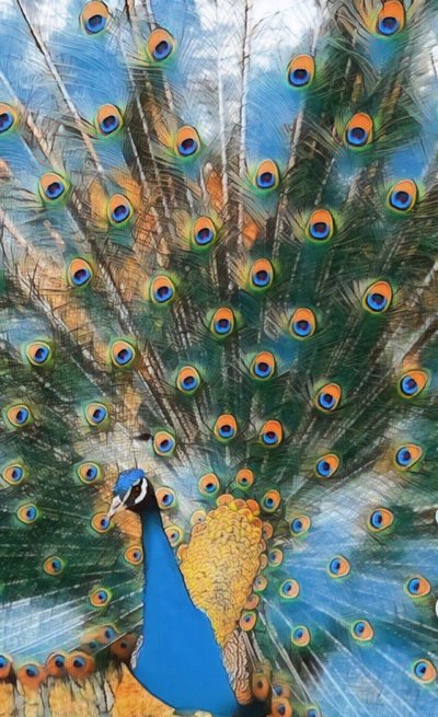 Pavo Real. door Margareta Uliarte