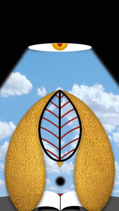 Het doordachte licht door Alexander Eibach
