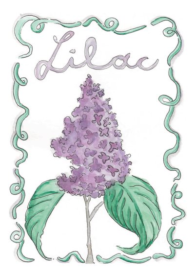  door june art