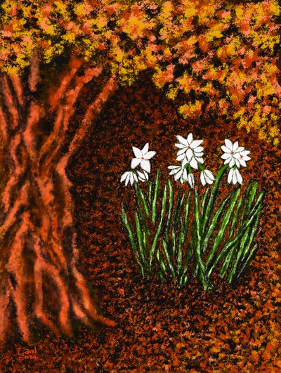 Herfstbloemen door Carol Sousa Cuello