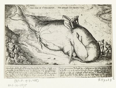 Prent van de aangespoelde walvis bij Antwerpen, 2 juli 1577 door A.B. van Deinse