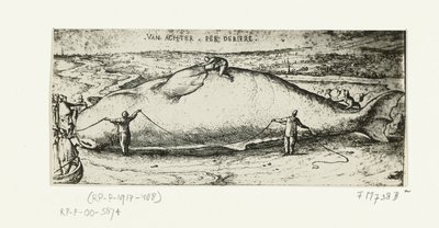 Prent van de aangespoelde walvis bij Antwerpen, 2 juli 1577 door A.B. van Deinse