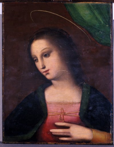 Portret van Maria door A. 1485 c.1525 Piccinelli