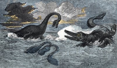 Plesiosaurus en een ichthyosaurus uit het Onder-Jura door A. Demarle