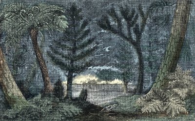 Prehistorie: karakteristiek landschap met moeras en bos door A. Demarle