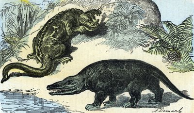 Prehistorie: voorstelling van een iguanodon en megalosaurus uit het Krijt door A. Demarle