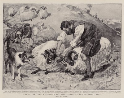De Vredestichter, een Hooglandse Herder die twee Vechtende Rams Scheidt door A. G. Small