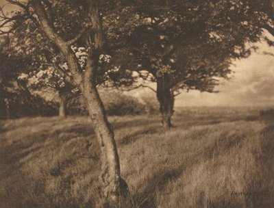 Voorbij door A. Horsley Hinton
