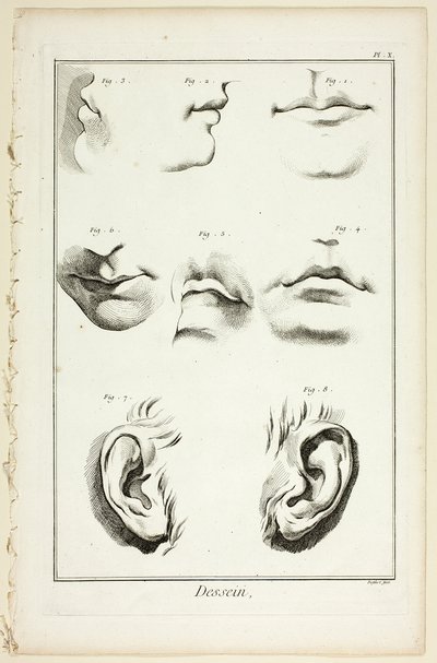 Ontwerp: Gezichtsanatomie uit Encyclopédie door A. J. Defehrt
