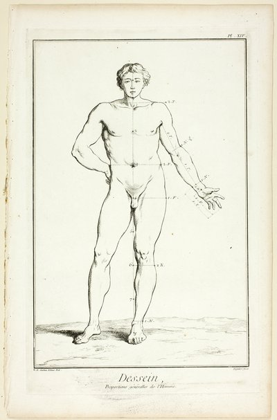 Ontwerp: Algemene Verhoudingen van de Man, uit Encyclopédie door A. J. Defehrt