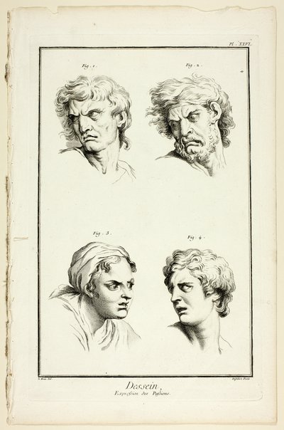 Tekening: Uitdrukkingen van Emotie (Haat of Jaloezie, Woede, Verlangen, Fysieke Pijn), uit Encyclopédie door A. J. Defehrt
