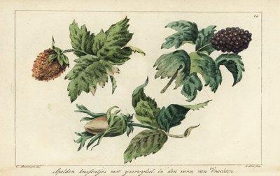 Borduurpatronen voor fruit, bessen en eikels door A. Lutz