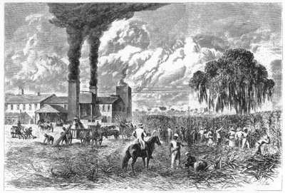 Suikerplantage, New Orleans, 1870 door A. R. Ward